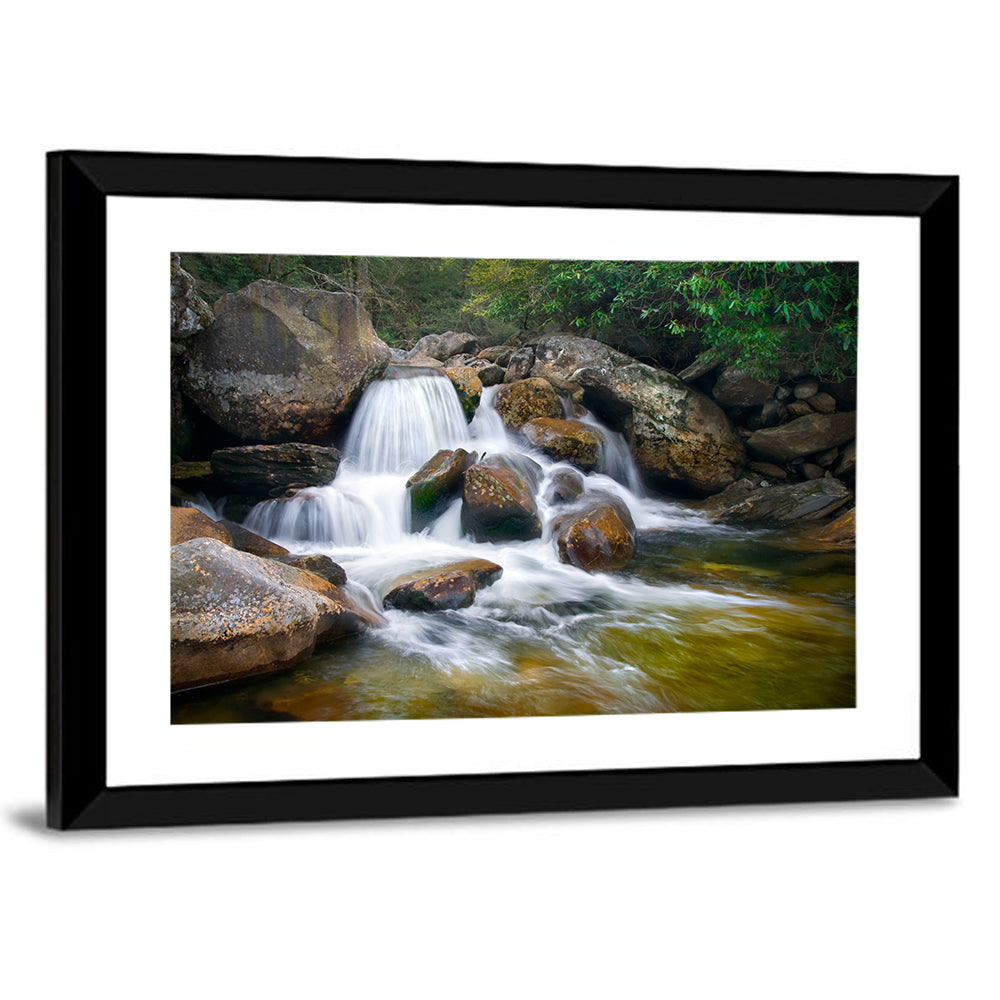 Blue Ridge Mossy Waterfall Wall Art