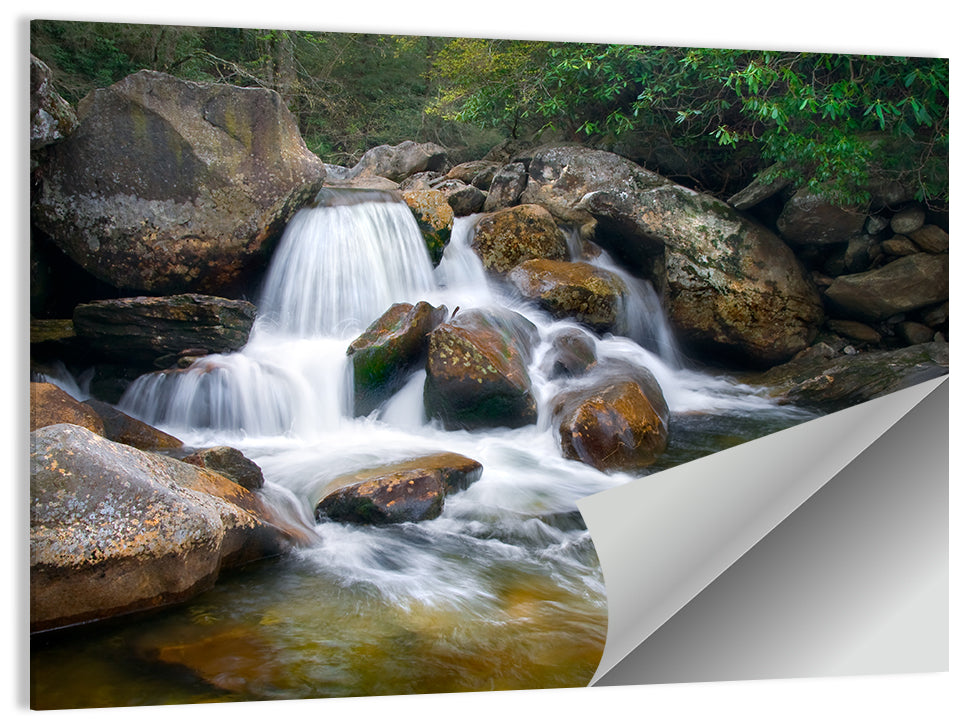 Blue Ridge Waterfall Wall Art