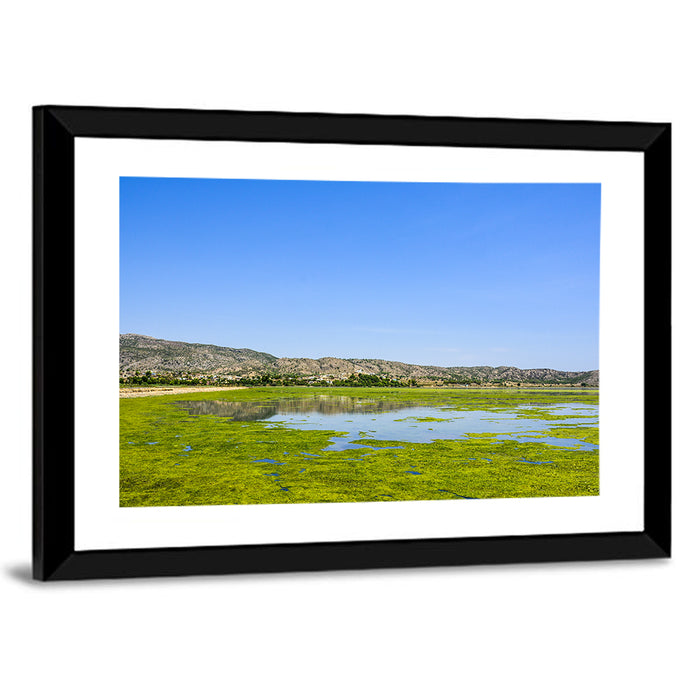 Uchali Lake Algae Reflection Wall Art as a framed print