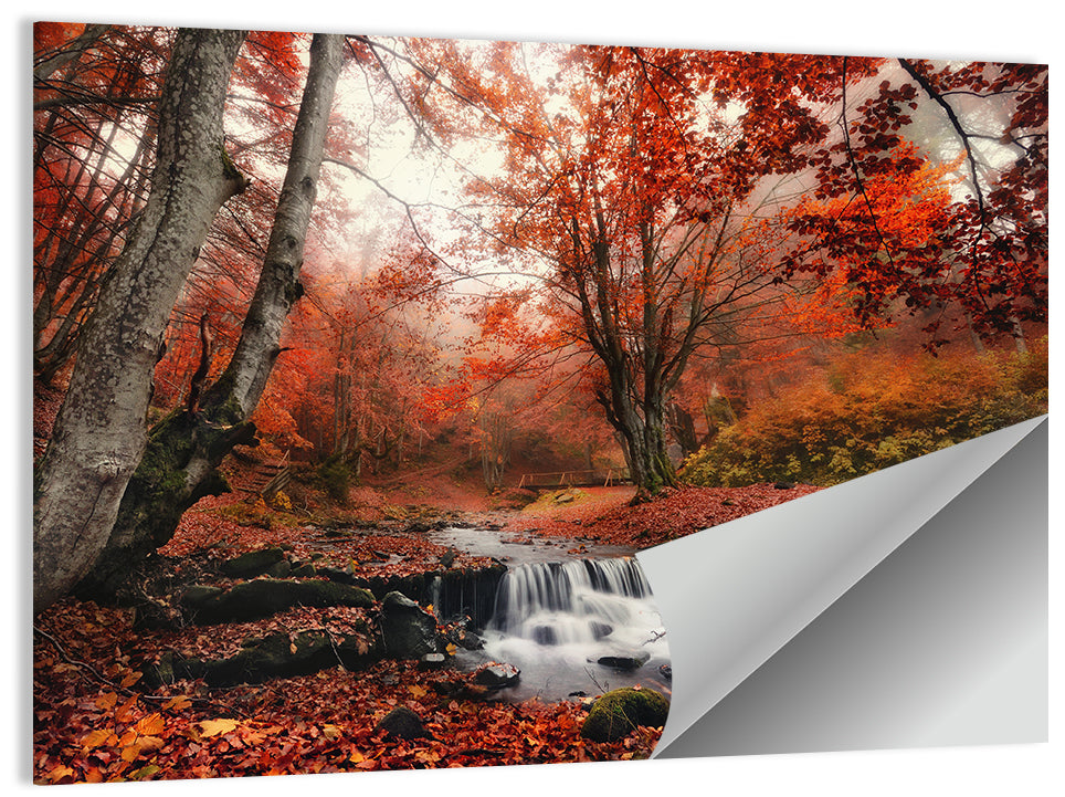 Autumn Forest Stream with Footbridge Wall Art