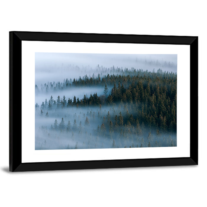 Morning Mist Over Pine Valley Wall Art as a framed print