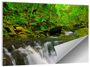 Forest Stream Wall Art