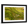 Macro Algae Stream Wall Art