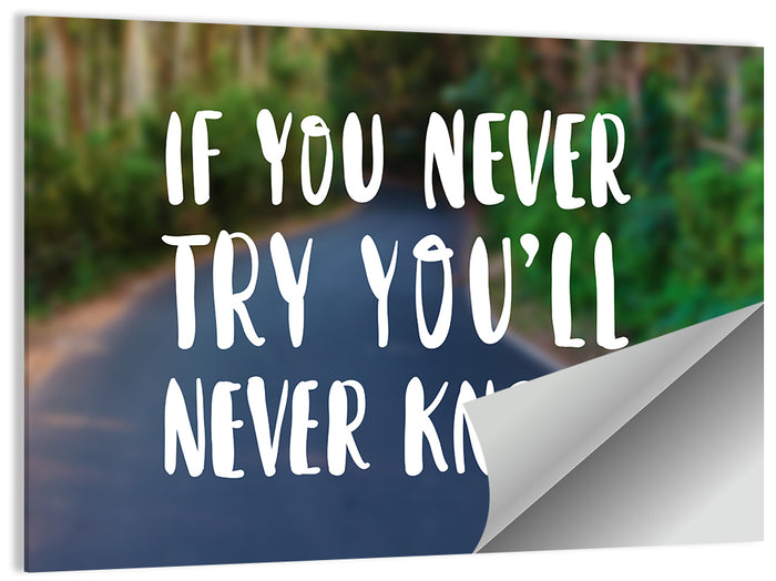 If You Never Try You’ll Never Know Quote Wall Art as a poster print