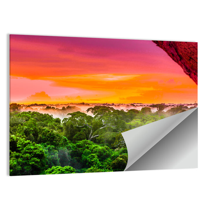 Brazilian Rainforest Sunset Wall Art as a poster print