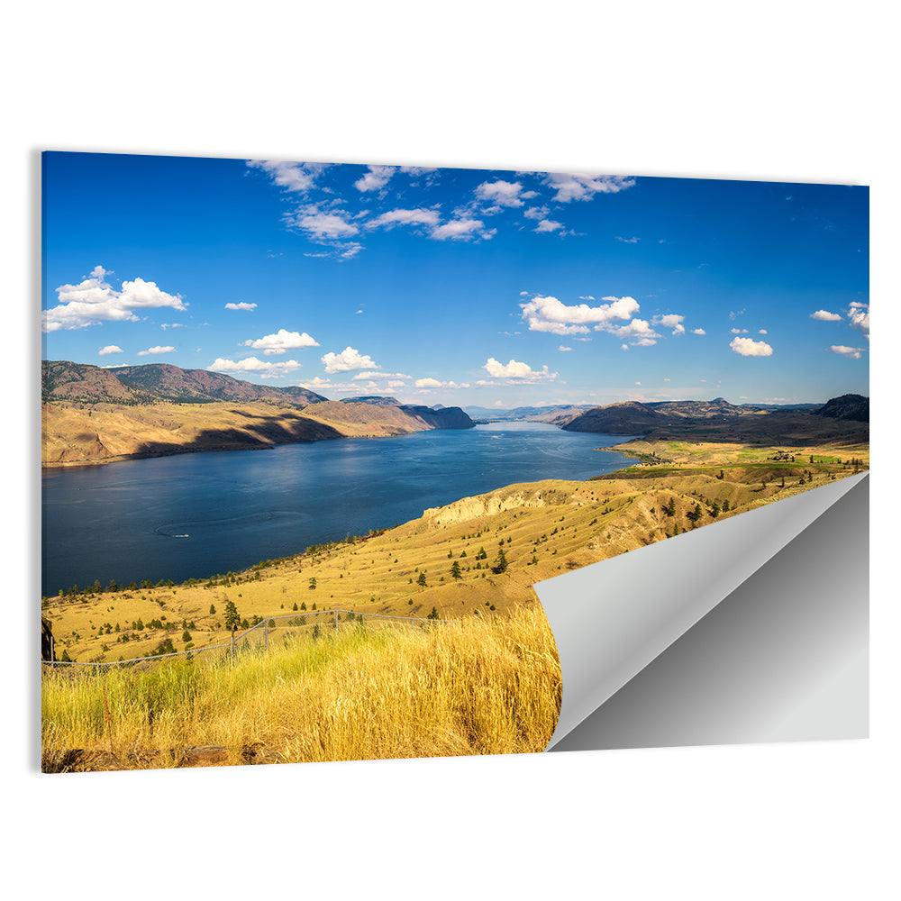 Golden Grass at Kamloops Lake Wall Art, poster print, landscape