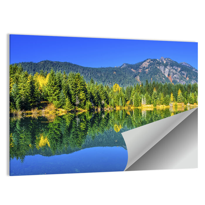 Autumn at Gold Lake Wall Art as a poster print