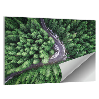 Forest From Drone Wall Art