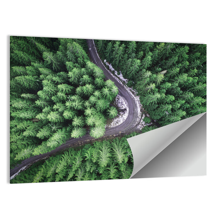 Aerial Forest Road Wall Art as a poster print