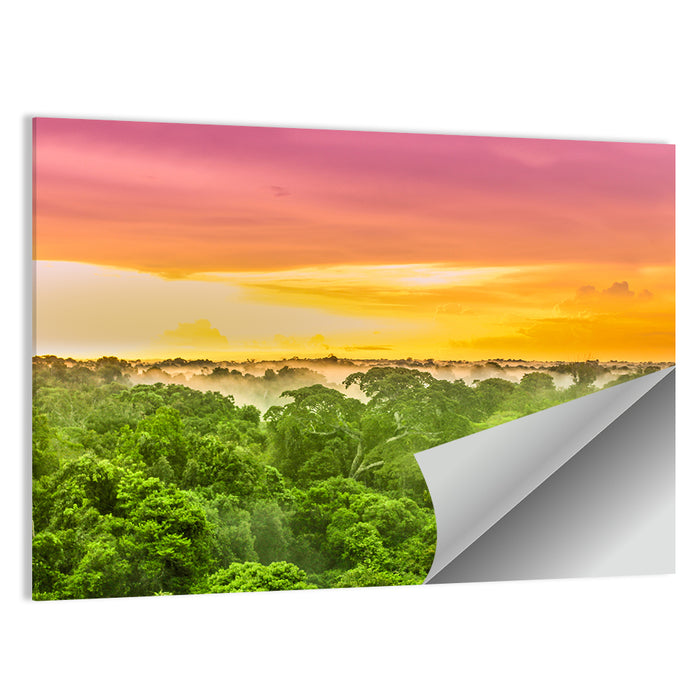Amazon Rainforest Sunset Canopy Wall Art as a poster print