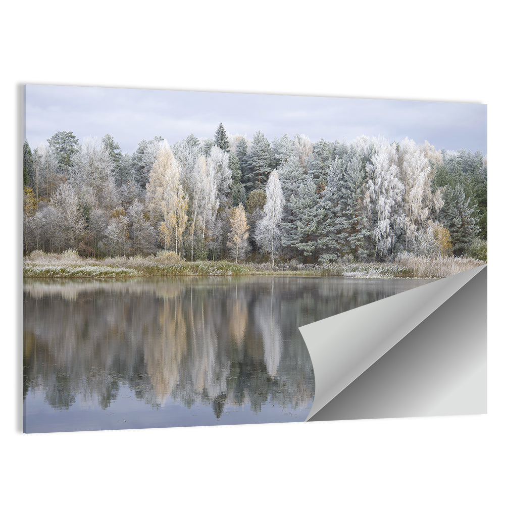 Forest Lake Pskov Region Wall Art