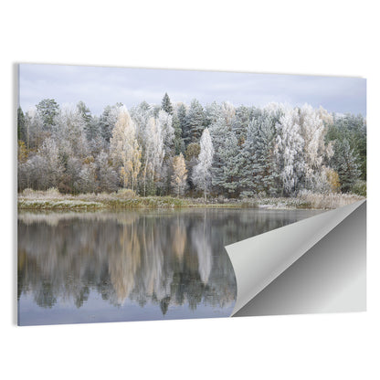 Forest Lake Pskov Region Wall Art