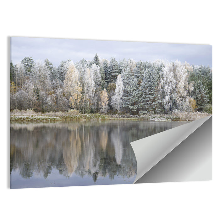 Pskov Region Forest Lake Wall Art as a poster print