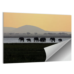 Amboseli National Park Wall Art