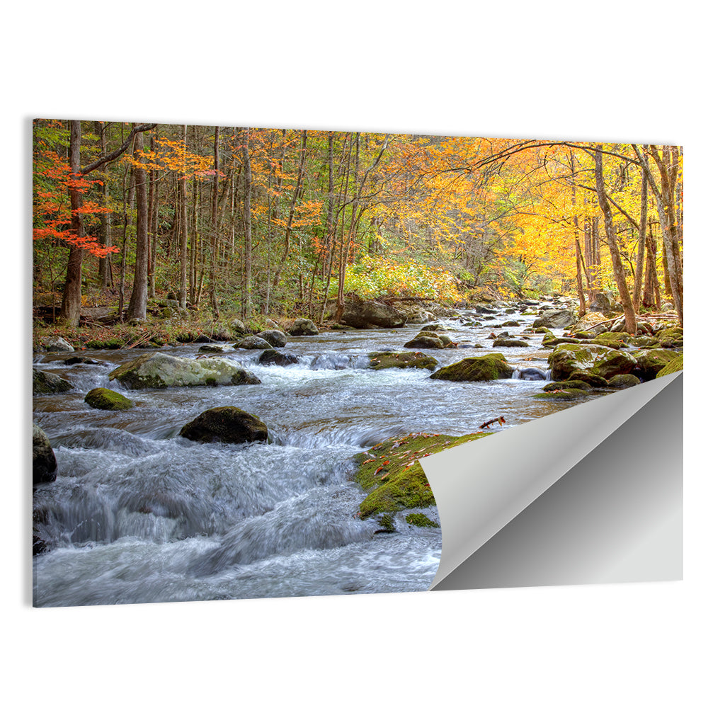 Autumn Mountain Stream Wall Art