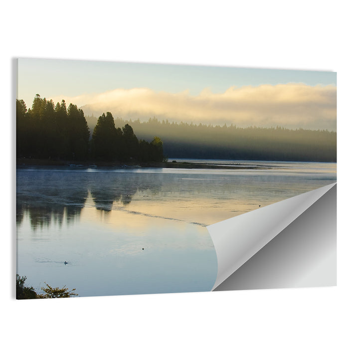 Misty Sunrise at Lake Almanor Wall Art as a poster print