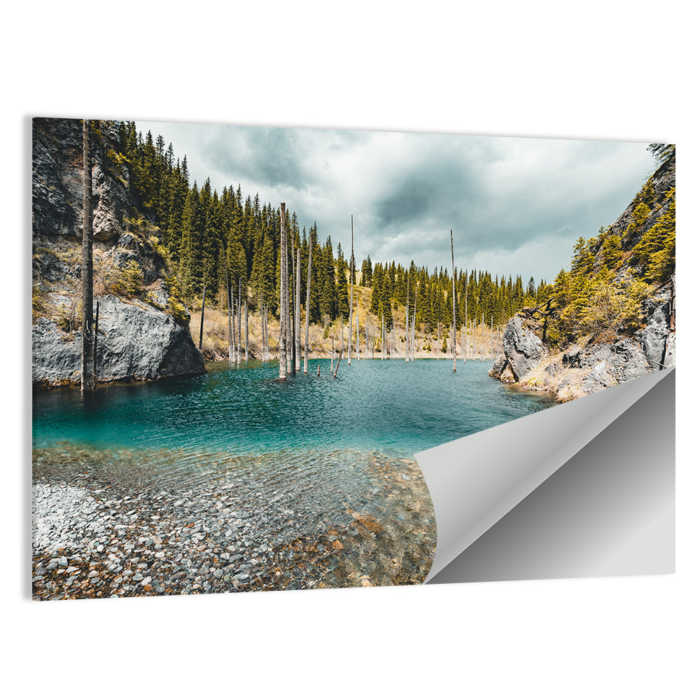Sunken Forest at Kaindy Lake Wall Art