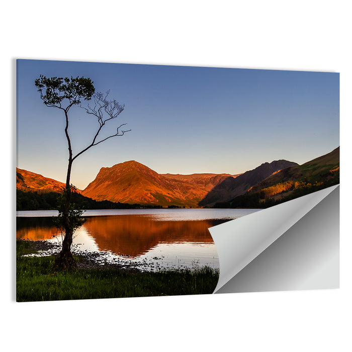 Buttermere Lone Tree Reflection Wall Art as a poster print
