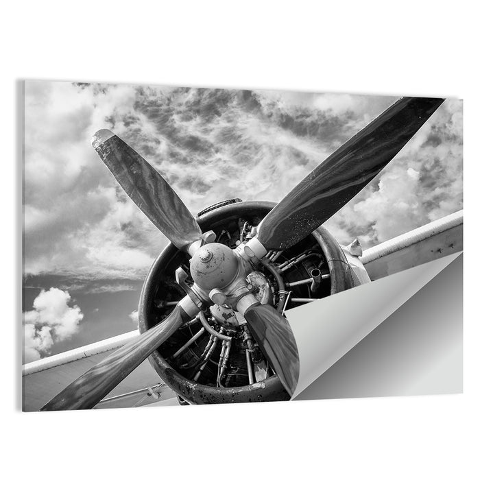 Vintage Airplane Radial Engine Close-up Wall Art as a poster print
