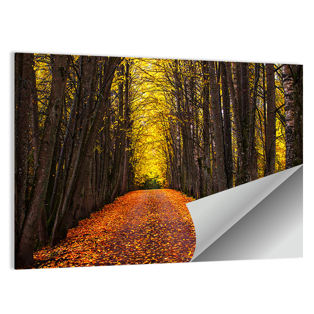 Autumn Park Alley Wall Art