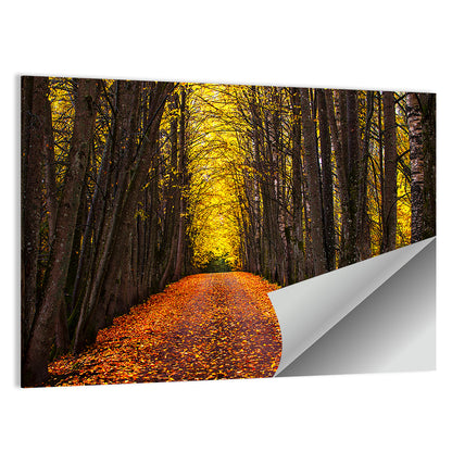 Autumn Park Alley Wall Art