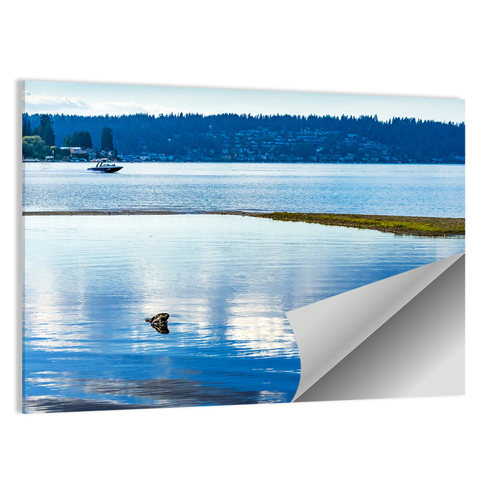Lake Sammamish Reflection Wall Art as a poster print