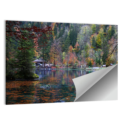Blausee Lake Wall Art