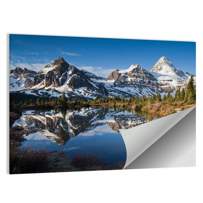 Mount Assiniboine Reflection Wall Art as a poster print