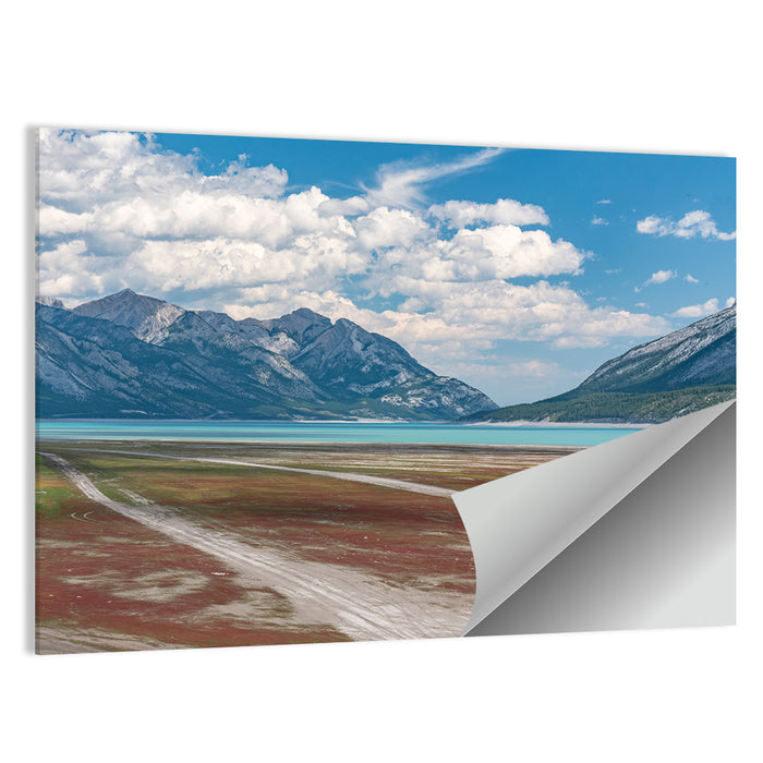 Douglas Fir Trail to Turquoise Lake Wall Art as a poster print