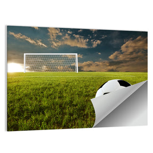 Soccer Ball in Stadium Wall Art