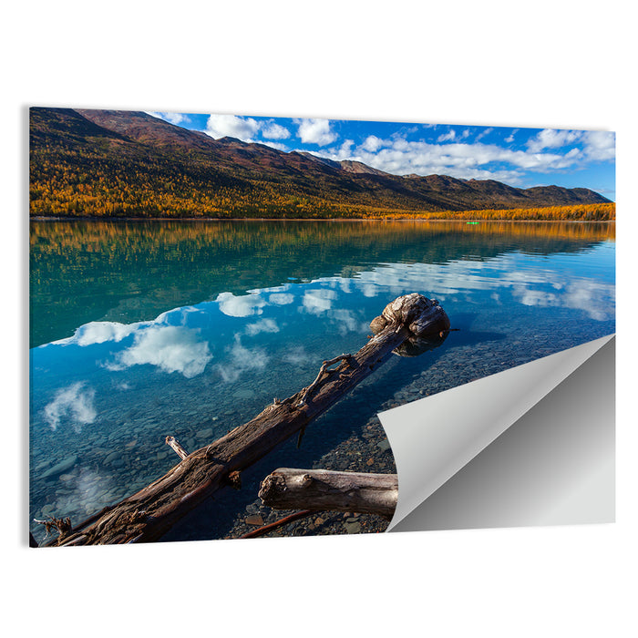 Autumn Driftwood at Eklutna Lake Wall Art as a poster print