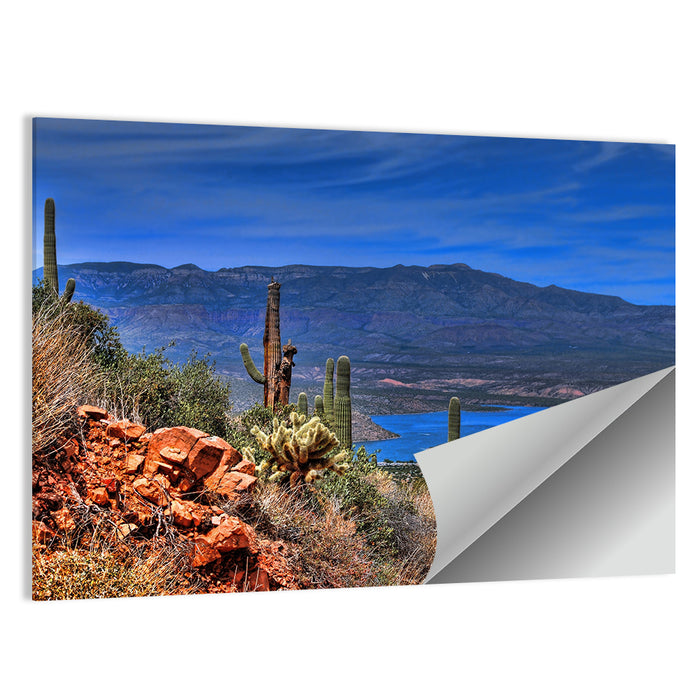 Roosevelt Lake Saguaro Vista Wall Art as a poster print