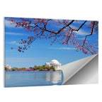 Thomas Jefferson Memorial with Cherry Blossoms Wall Art