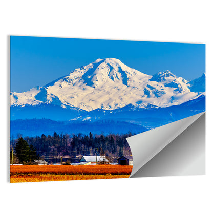 Mount Baker Wall Art