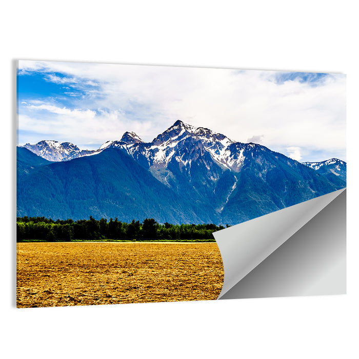 Cheam Mountain Peak Wall Art as a poster print