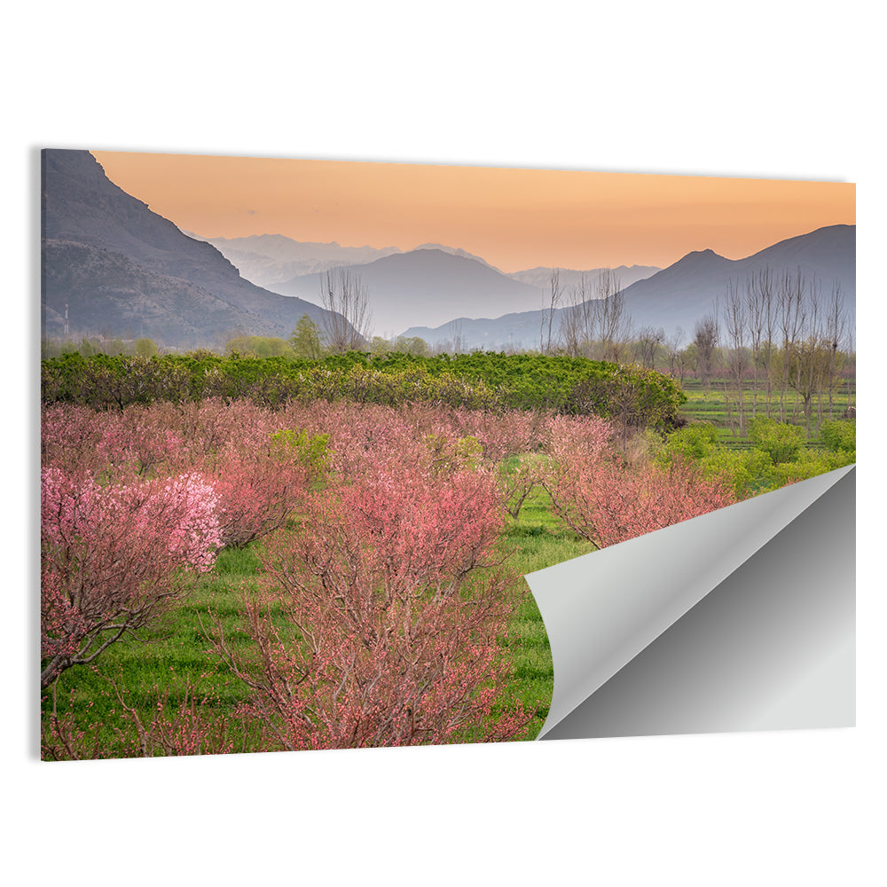 Swat Valley Spring Orchard Wall Art