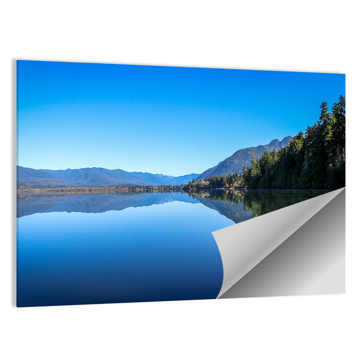 Lake Quinault Reflection Wall Art as a poster print