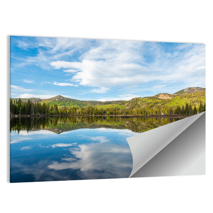 Silver Lake Reflection Wall Art as a poster print