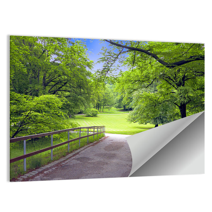 Sunlit Meadow Path Wall Art as a poster print
