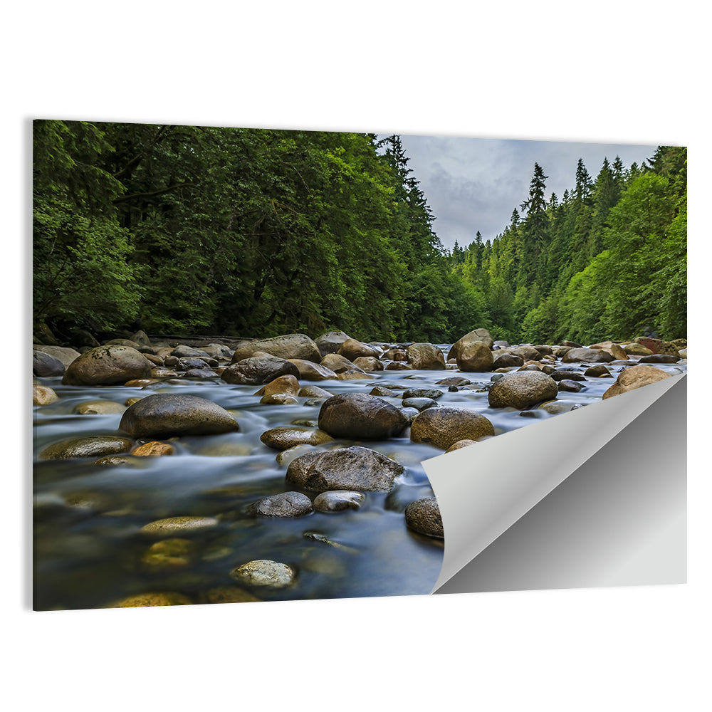 Lynn Canyon Riverbed Forest Wall Art