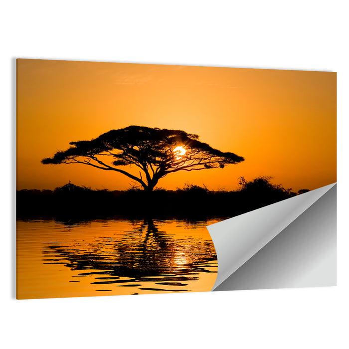 Acacia Tree at Sunrise Wall Art as a poster print