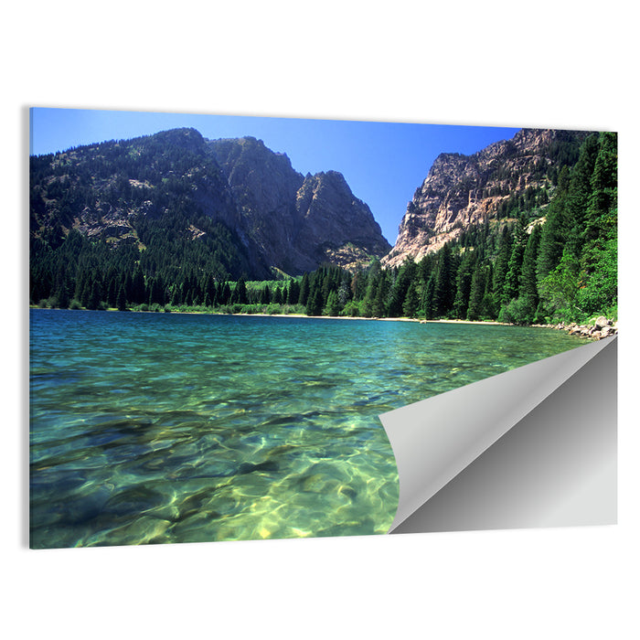 Phelps Lake Landscape Wall Art as a poster print