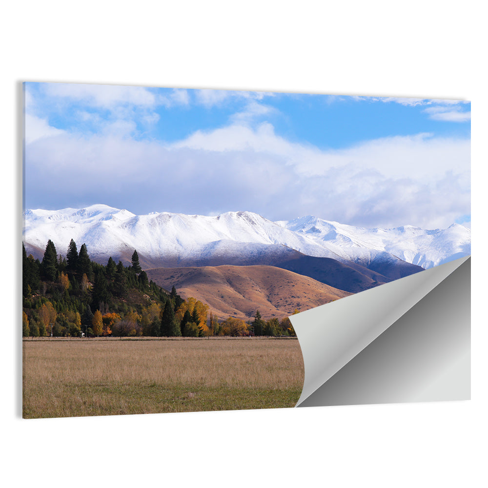 Ben Ohau Mountain Meadow Wall Art