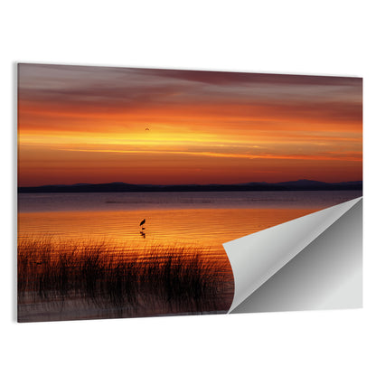 Lake Champlain Sunrise Wall Art