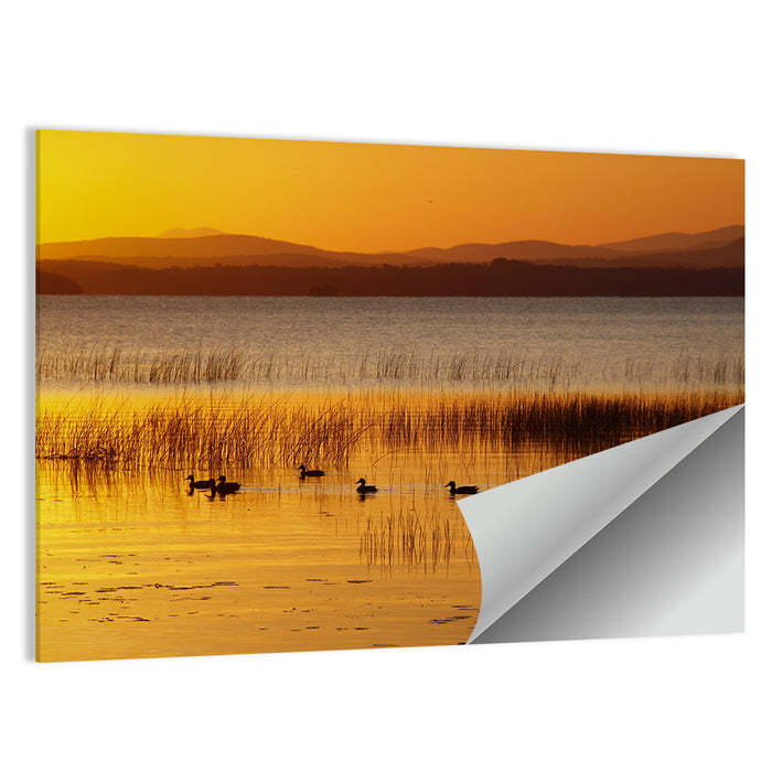 Lake Champlain Golden Sunrise Wall Art as a poster print