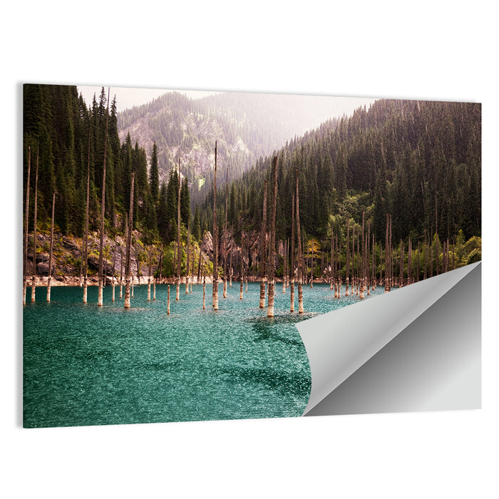 Kaindy Lake Submerged Spruces Wall Art as a poster print