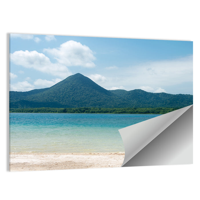 Usori Lake Shoreline Wall Art as a poster print
