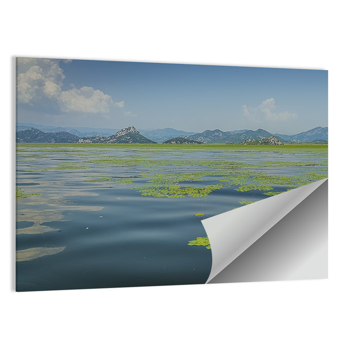 Lake Skadar Water Lilies Wall Art as a poster print