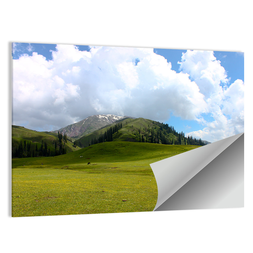 Seri Paya Mountain Meadow Wall Art