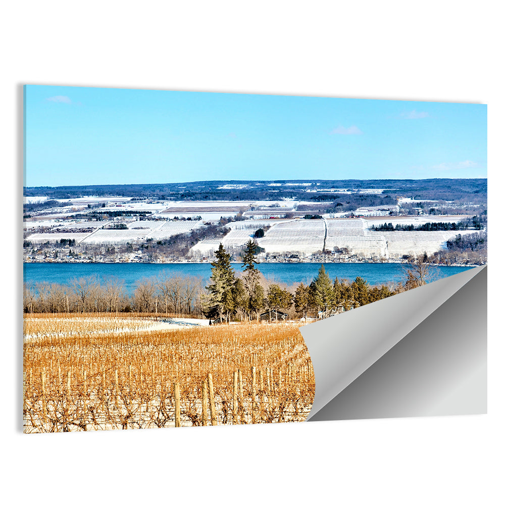 Seneca Lake Vineyard Wall Art, poster print, landscape
